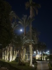IMG 8884