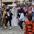 IMG 0071