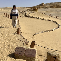 2026 Alamein & Fayoum Oasis, Egypt